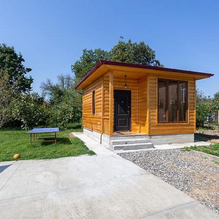 Cosy Kvara77 Zugdidi Dış mekan fotoğraf