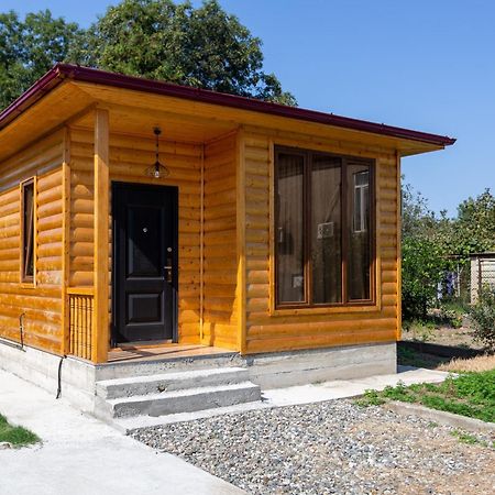 Cosy Kvara77 Zugdidi Dış mekan fotoğraf