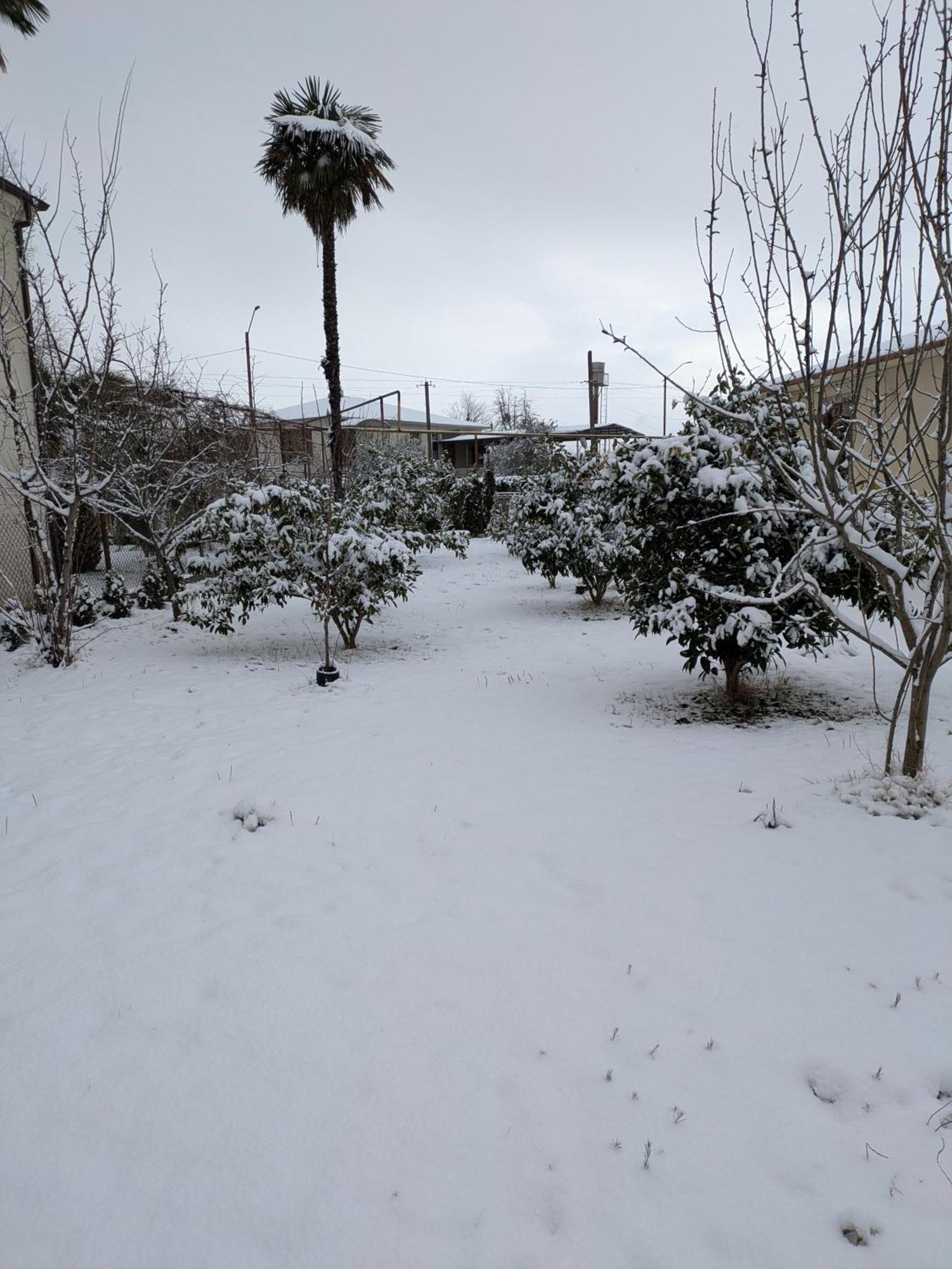 Cosy Kvara77 Zugdidi Dış mekan fotoğraf